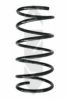 SPIDAN 49560 Coil Spring